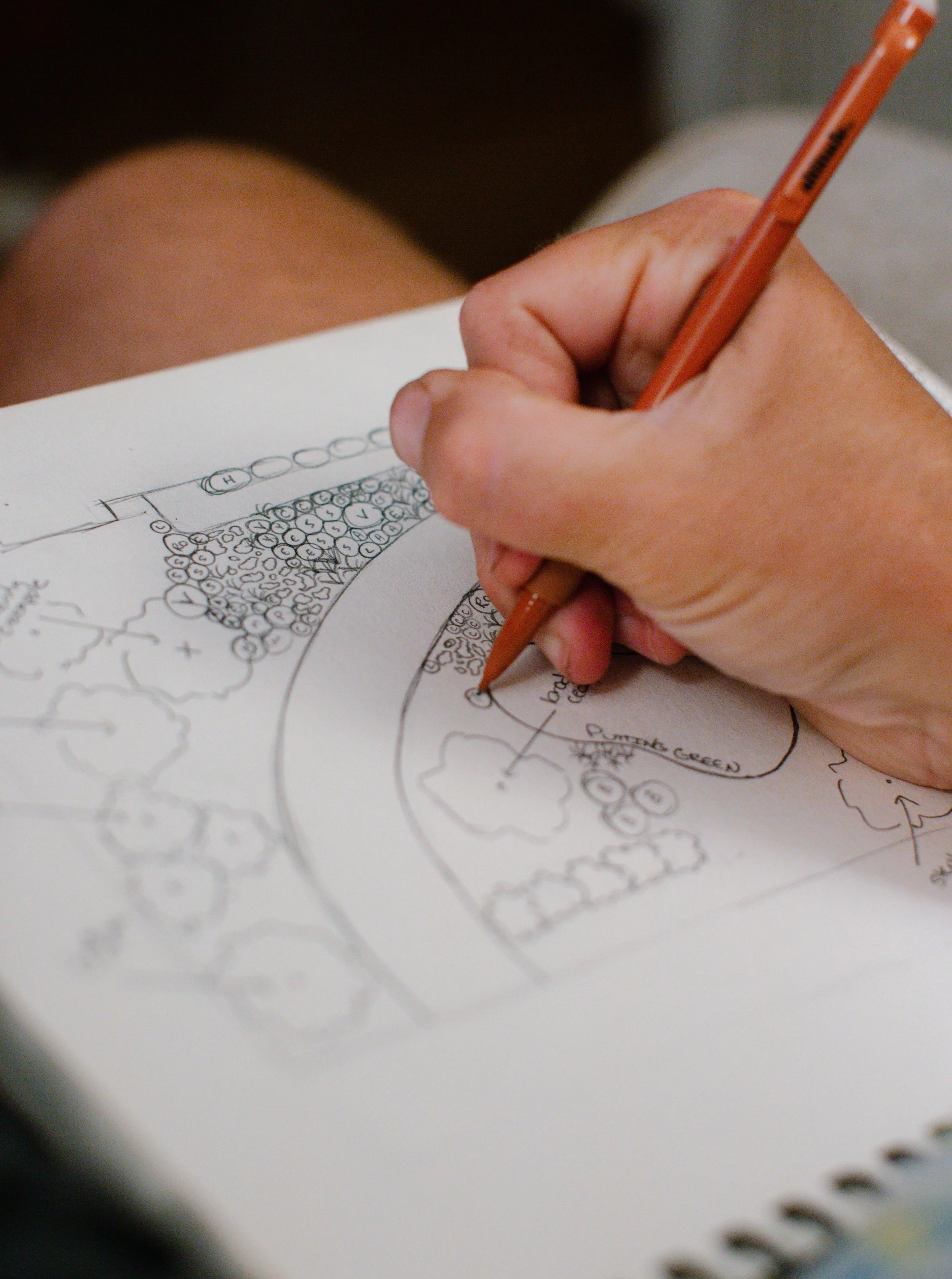 A hand drawing a garden plan in coloured pencil